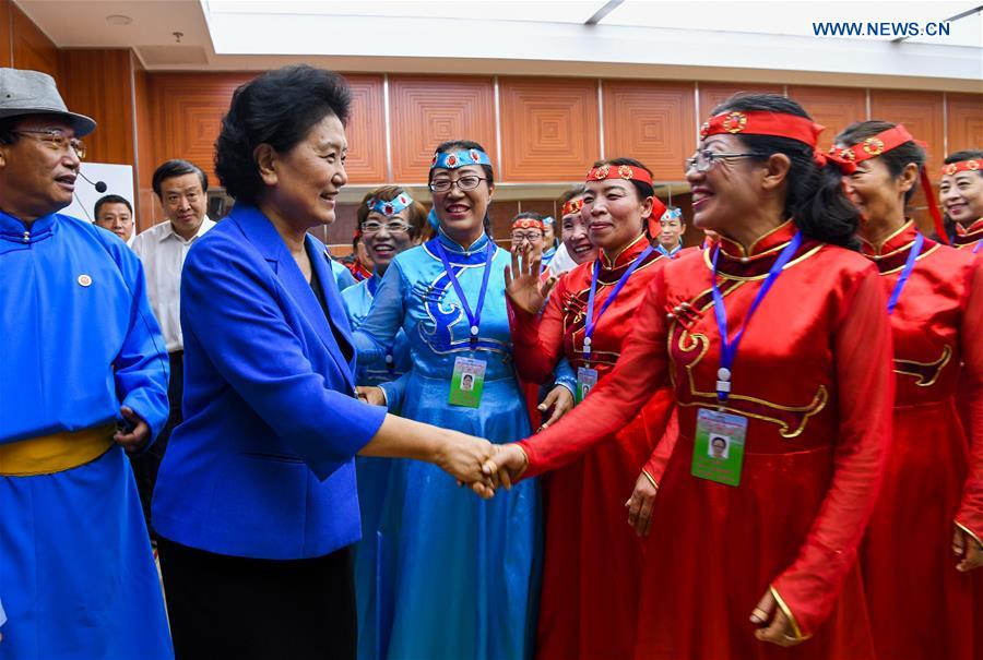 CHINA-INNER MONGOLIA-HOHHOT-LIU YANDONG-INSPECTION (CN)