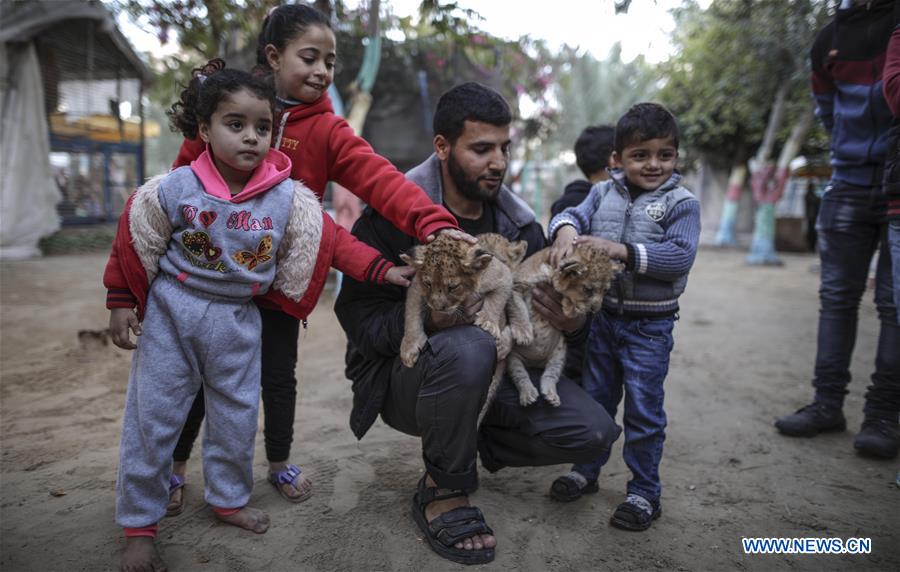 MIDEAST-GAZA-LION-CUBS