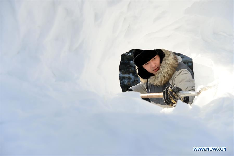 CHINA-HARBIN-SNOW SCULPTURE-CONTEST (CN)