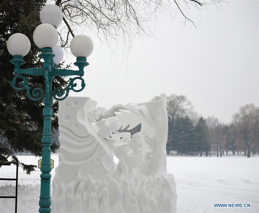 CHINA-HEILONGJIANG-HARBIN-SNOW SCULPTURE-COMPETITION (CN)