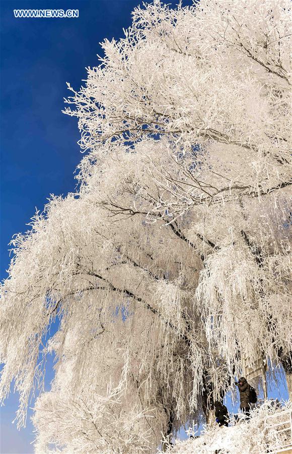 CHINA-JILIN-RIME (CN)