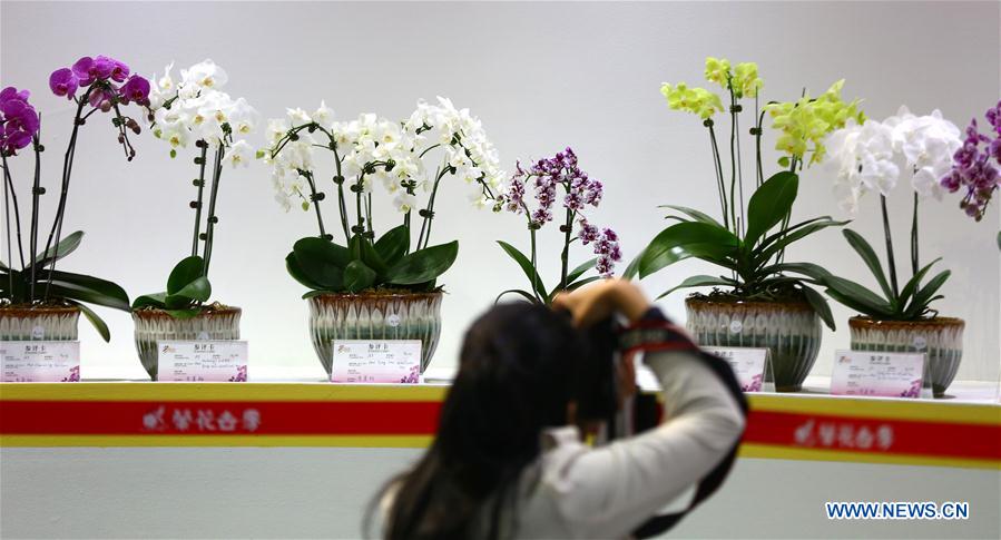 #CHINA-SANYA-INTERNATIONAL ORCHID SHOW (CN)