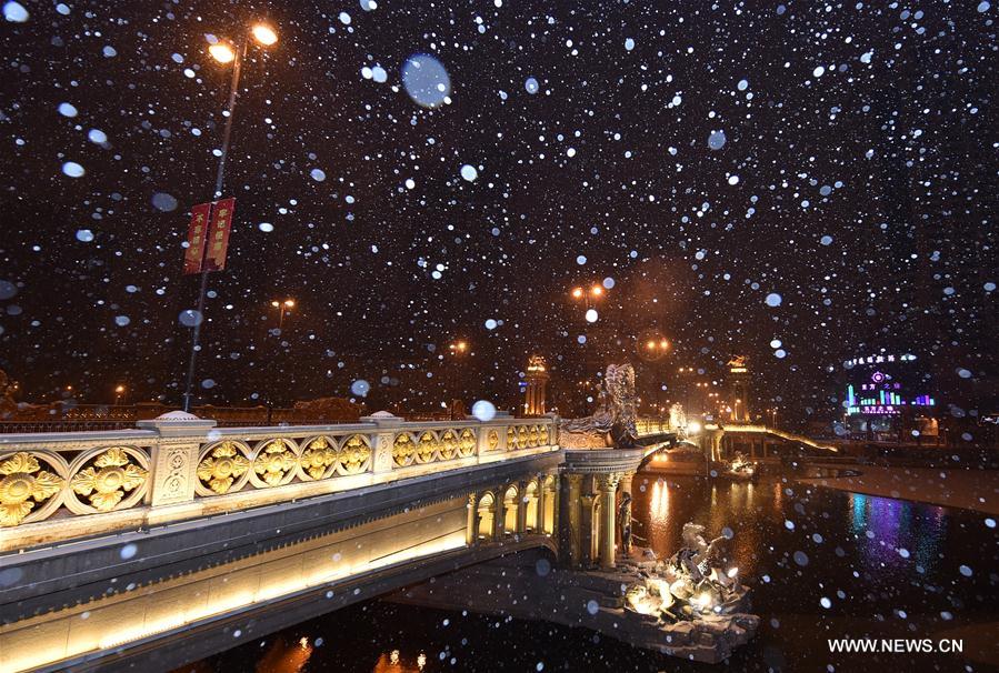 CHINA-TIANJIN-SNOWFALL(CN)