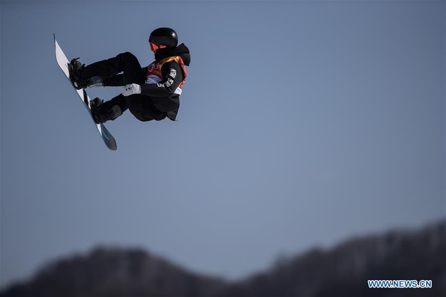 (SP)OLY-SOUTH KOREA-PYEONGCHANG-SNOWBOARD-MEN'S SLOPESTYLE