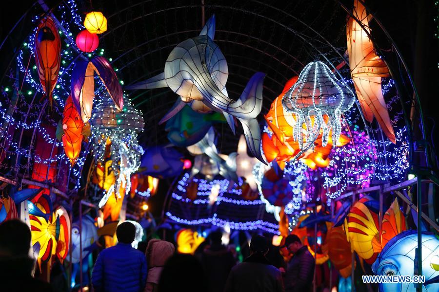 CHINA-BEIJING-SPRING FESTIVAL-LANTERN FAIR (CN)