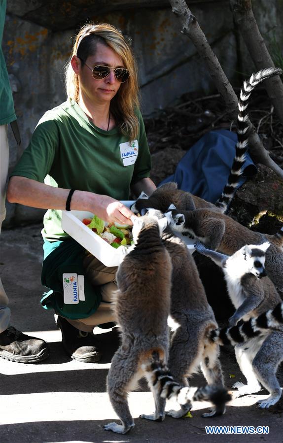 SPAIN-MADRID-FAUNIA-ANIMALS