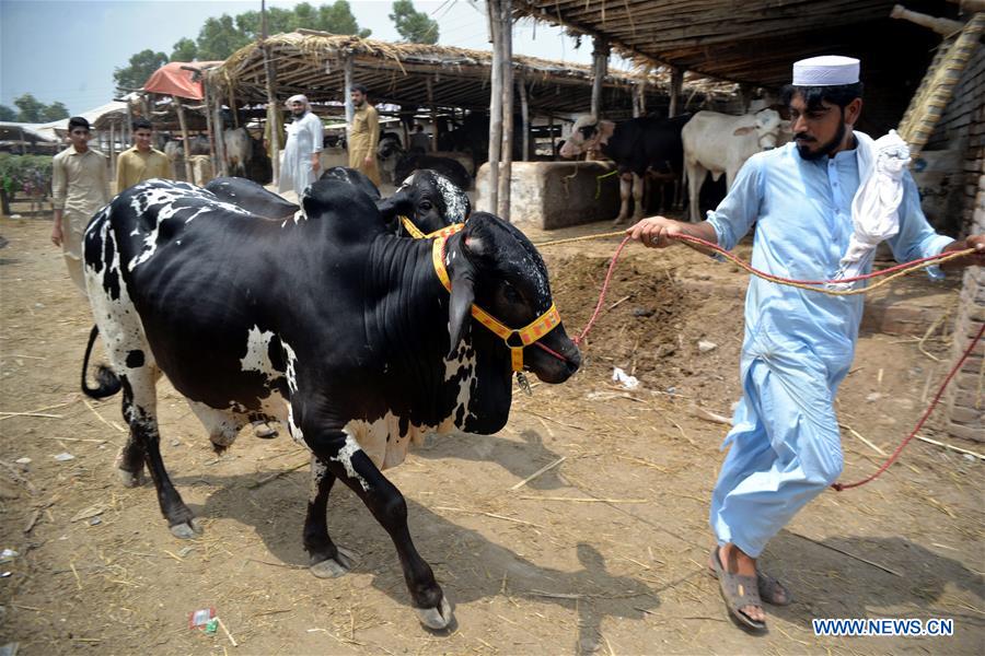 PAKISTAN-PESHAWAR-EID AL-ADHA-MARKET