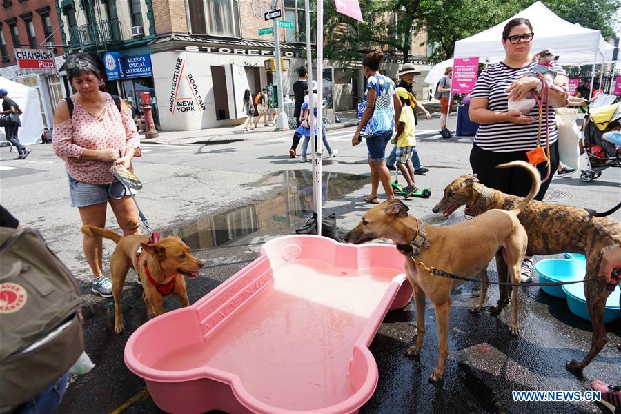 U.S.-NEW YORK-SUMMER STREETS 