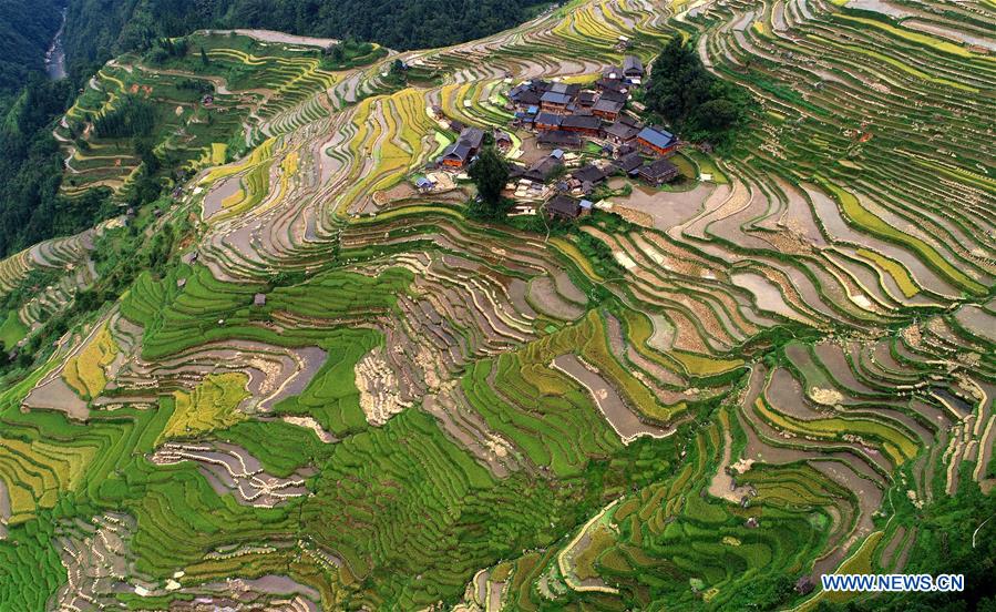 #CHINA-TERRACED FIELDS-AUTUMN SCENERY(CN)