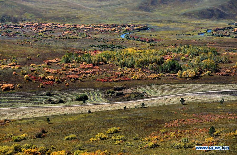 CHINA-INNER MONGOLIA-ARXAN-SCENERY (CN)