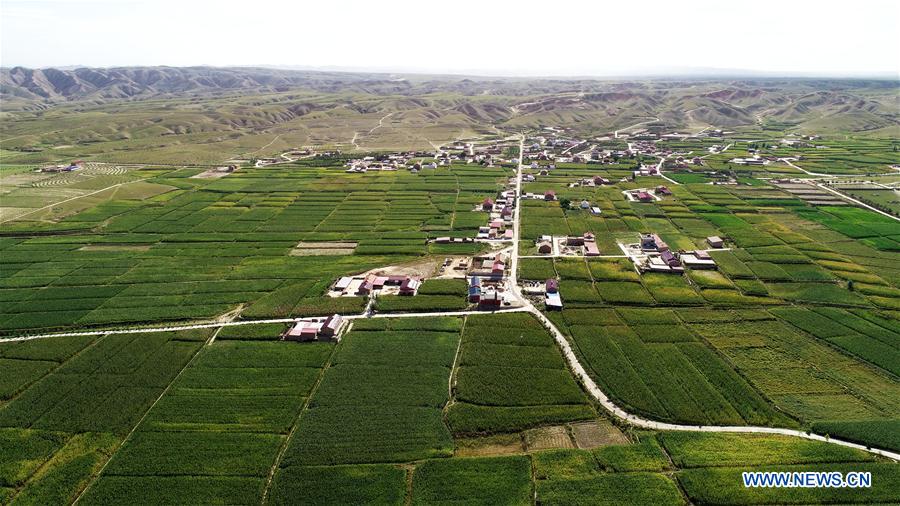 CHINA-NINGXIA-HANJIAOSHUI-DEVELOPMENT (CN)