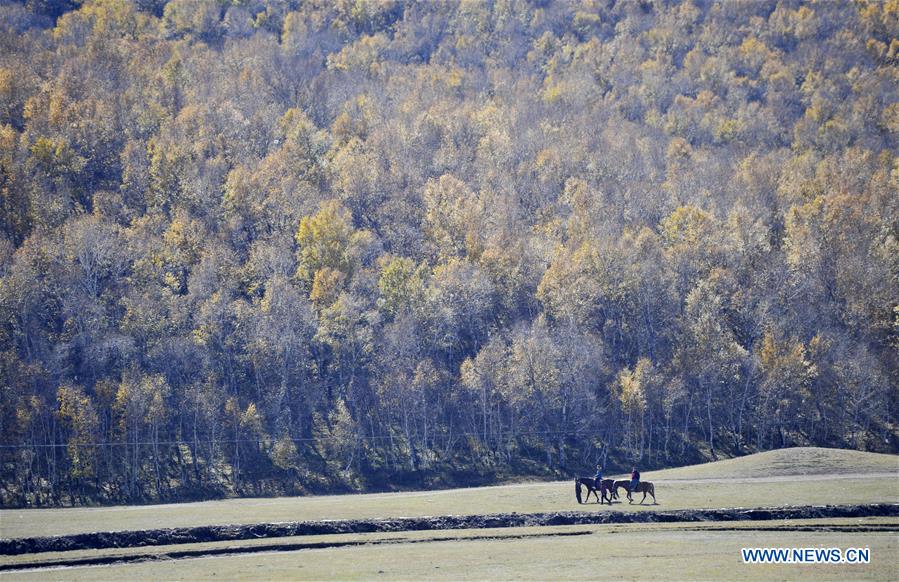 #CHINA-HEBEI-CHENGDE-AUTUMN SCENERY (CN)