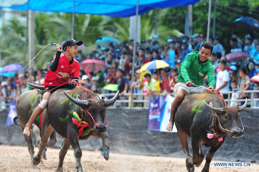 THAILAND-CHONBURI-BUFFALO RACING