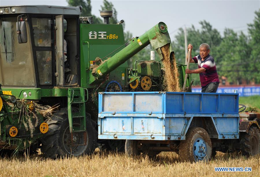 CHINA-AGRICULTURE-MECHANIZATION RATE (CN)