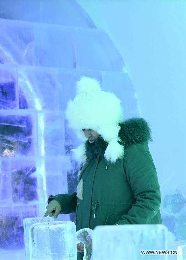 CHINA-HEILONGJIANG-HARBIN-ICE BUILDING (CN)