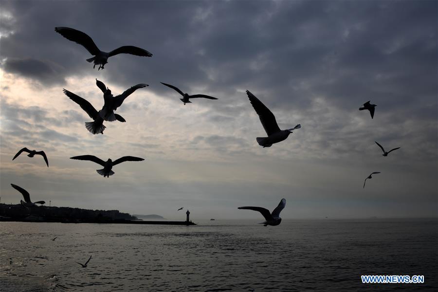 TURKEY-BOSPHORUS STRAIT-SCENERY