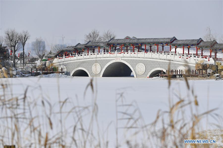 CHINA-YINCHUAN-SNOW SCENERY (CN)