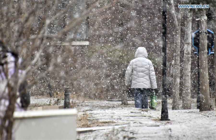 CHINA-BEIJING-SNOW (CN)