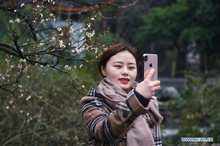 CHINA-ZHEJIANG-SPRING-PLUM BLOSSOM(CN)