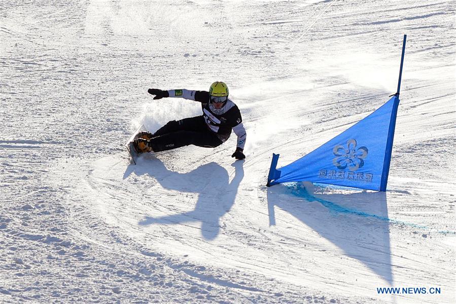 (SP)CHINA-HEBEI-ZHANGJIAKOU-FIS SNOWBOARD-PARALLEL GIANT SLALOM(CN)