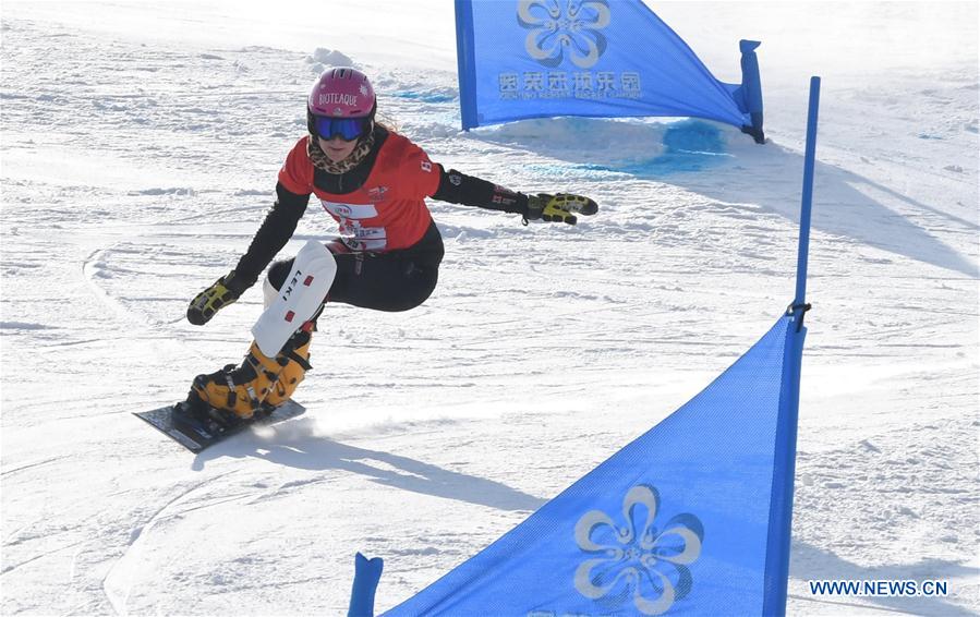 (SP)CHINA-HEBEI-ZHANGJIAKOU-FIS SNOWBOARD-PARALLEL GIANT SLALOM(CN)