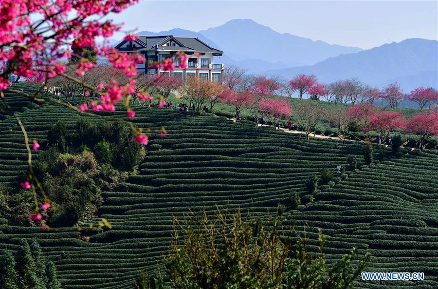 CHINA-RURAL DEVELOPMENT (CN)