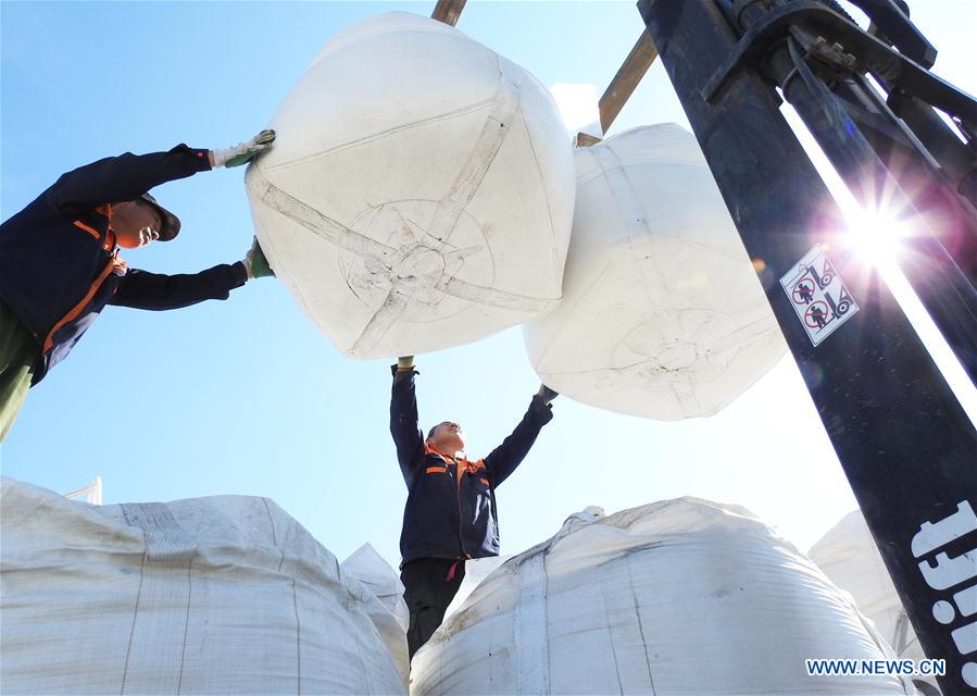 #CHINA-SPRING-FARM WORK (CN)