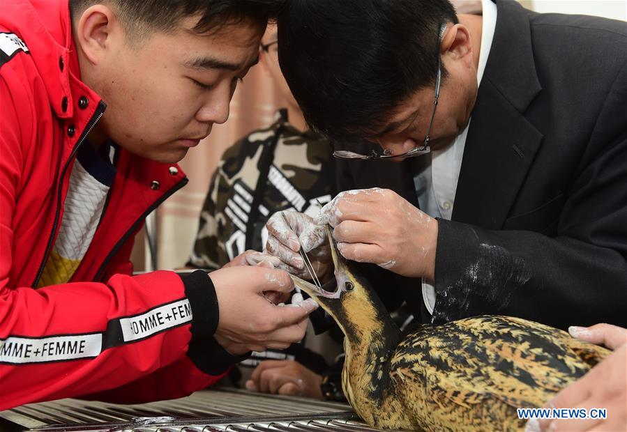 #CHINA-HEBEI-CANGZHOU-MIGRANT BIRD-AID (CN)