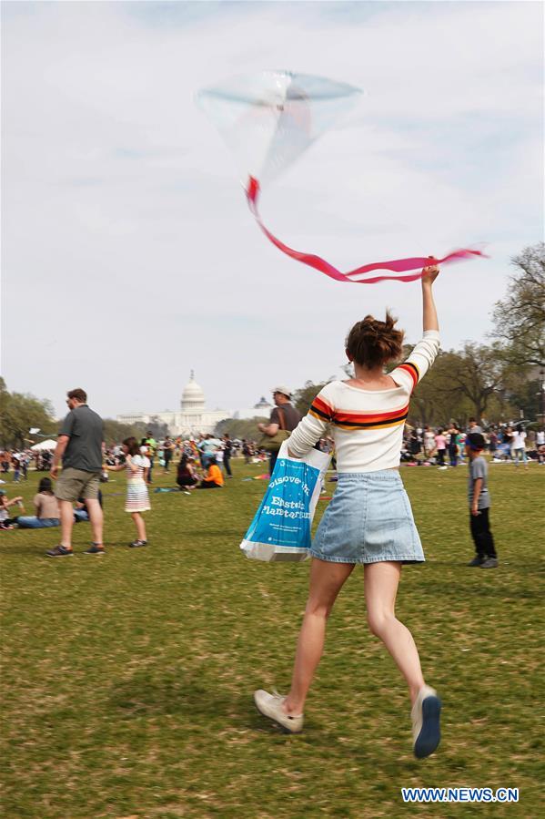 U.S.-WASHINGTON, D.C.-KITES