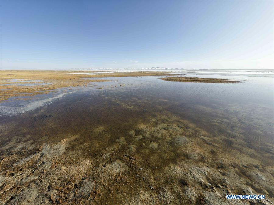 CHINA-XINJIANG-ALTUN MOUNTAINS-WILDLIFE-LANDSCAPE (CN)