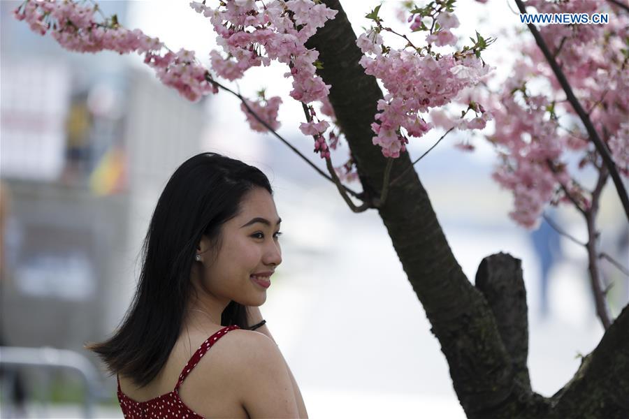 U.S.-NEW YORK-CHERRY BLOSSOM FESTIVAL