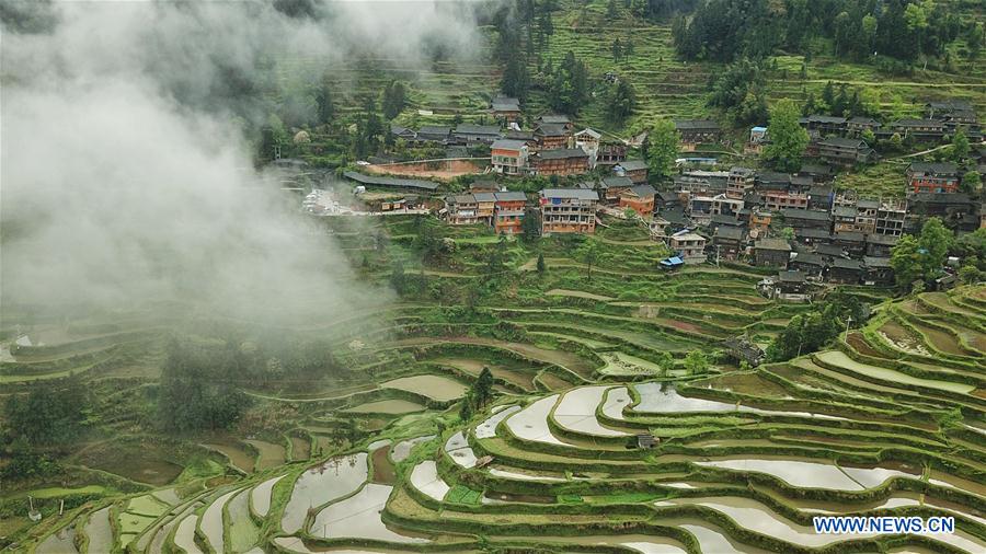 CHINA-GUIZHOU-LIPING-TERRACED FIELDS (CN)