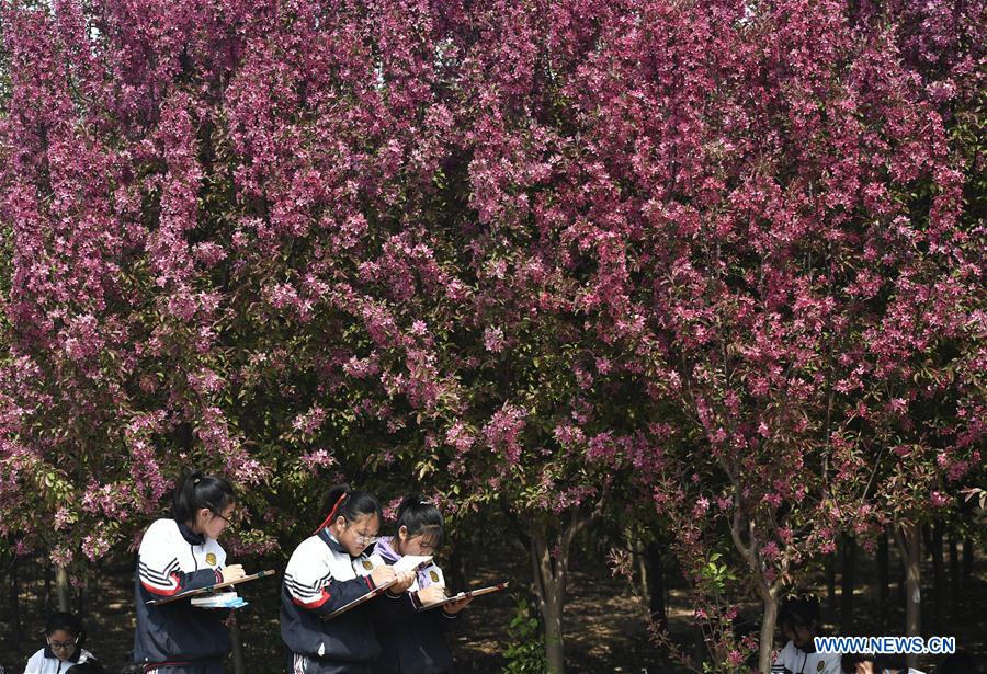 #CHINA-SHANDONG-SPRING-SCENERY (CN)