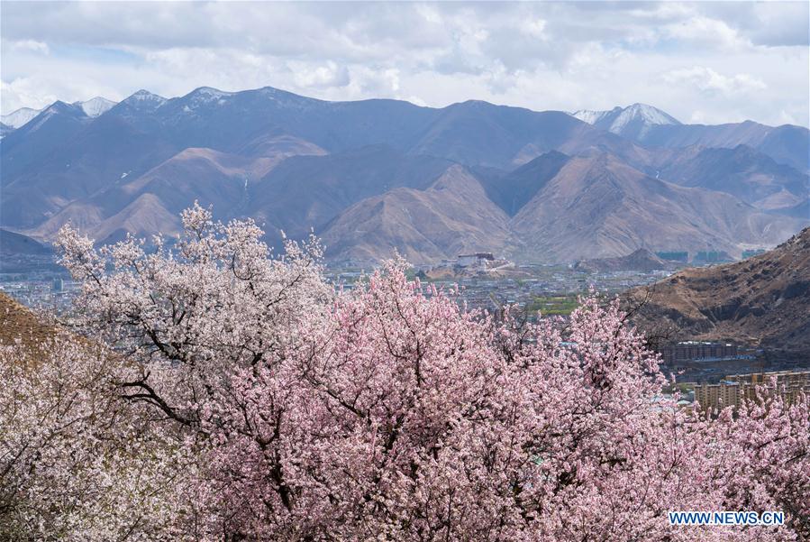 CHINA-TIBET-PABONKA HERMITAGE-SCENERY (CN)