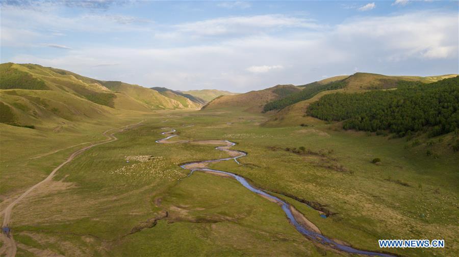 CHINA-INNER MOGOLIA-CHIFENG-AR HORQIN GRASSLAND-LANDSCAPE (CN)