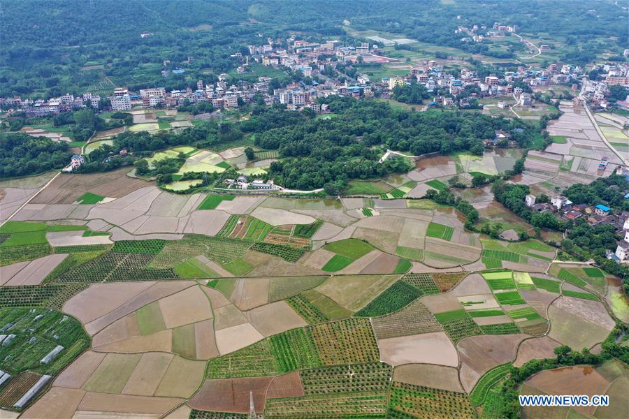 CHINA-GUANGXI-FARMLAND SCENERY (CN)