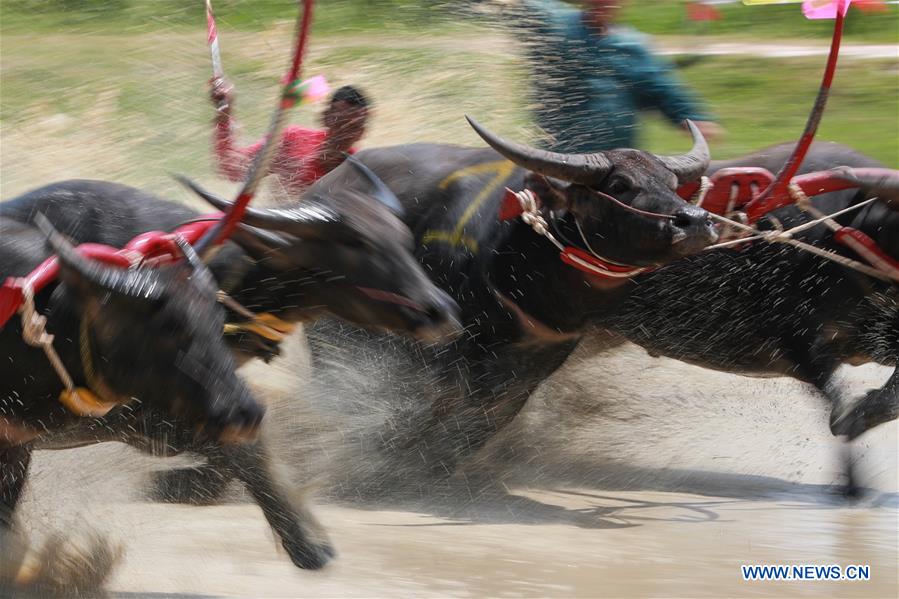 XINHUA PHOTOS OF THE DAY