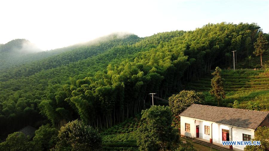 CHINA-ANHUI-DABIESHAN MOUNTAIN-SCENERY (CN)