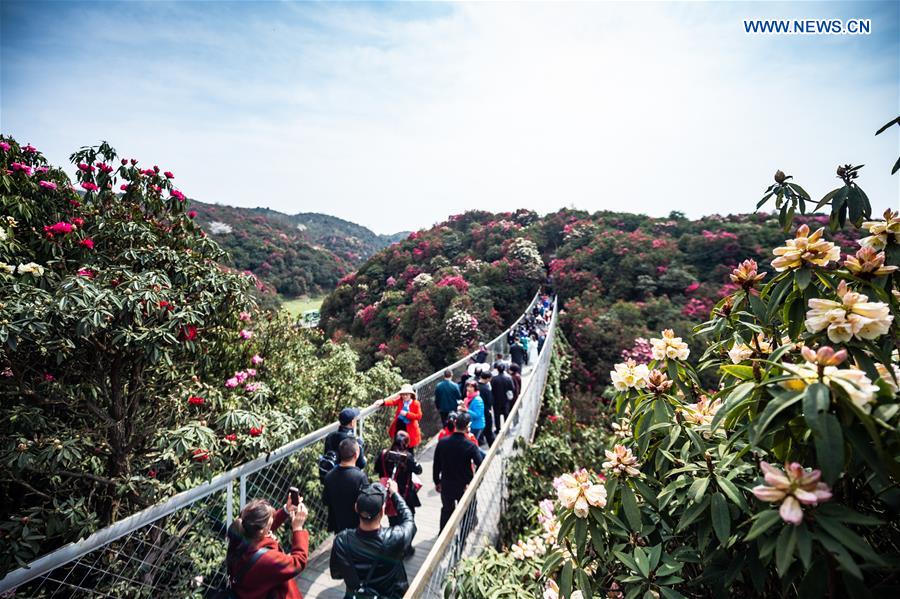 (EcoChina)CHINA-HORTICULTURAL EXPO-GUIZHOU (CN)