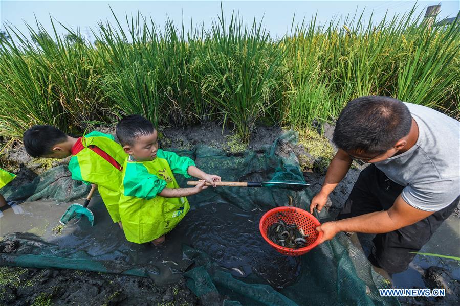 CHINA-ZHEJIANG-HUZHOU-AGRICULTURE-POLYCULTURE (CN)