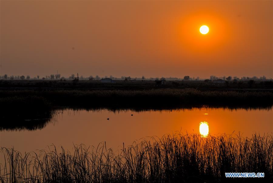 CHINA-INNER MONGOLIA-HOHHOT-HASUHAI WETLAND-AUTUMN SCENERY (CN)