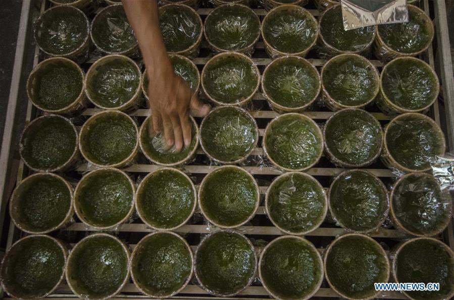 INDONESIA-BANDUNG-CHINESE NEW YEAR-PREPARATION