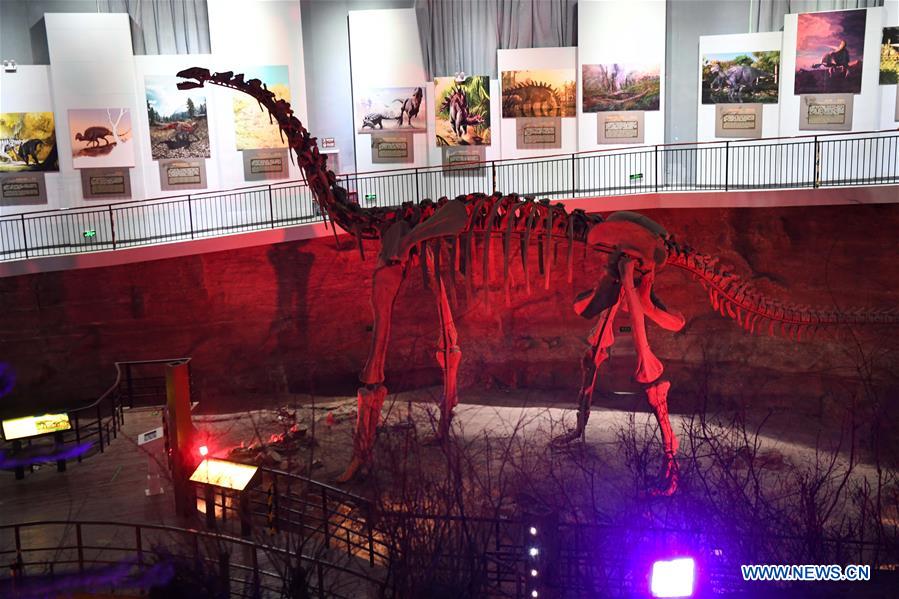 CHINA-HENAN-RUYANG-DINOSAUR-GEOPARK (CN)