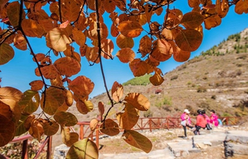 Scenery across China on traditional solar term "First Frost"