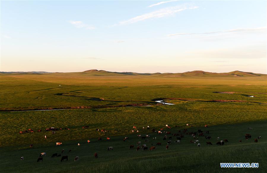 CHINA-INNER MONGOLIA-XILIN GOL-SCENERY (CN)