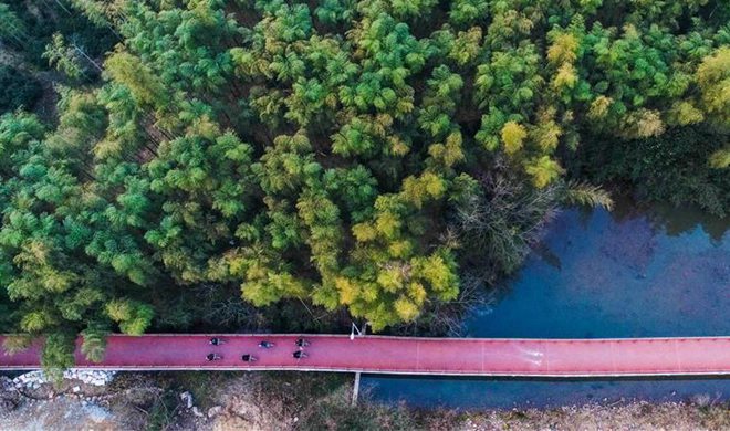 Greenway in E China becomes popular rural resort for visitors