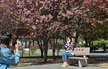 Trees bloom in Shanxi Agricultural University, N China