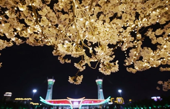 Cherry blossoms at night