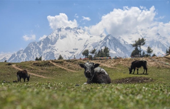 Scenery in Gyirong County of Xigaze, SW China's Tibet