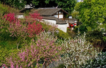 Spring scenery of Wushan scenic spot in Fuzhou